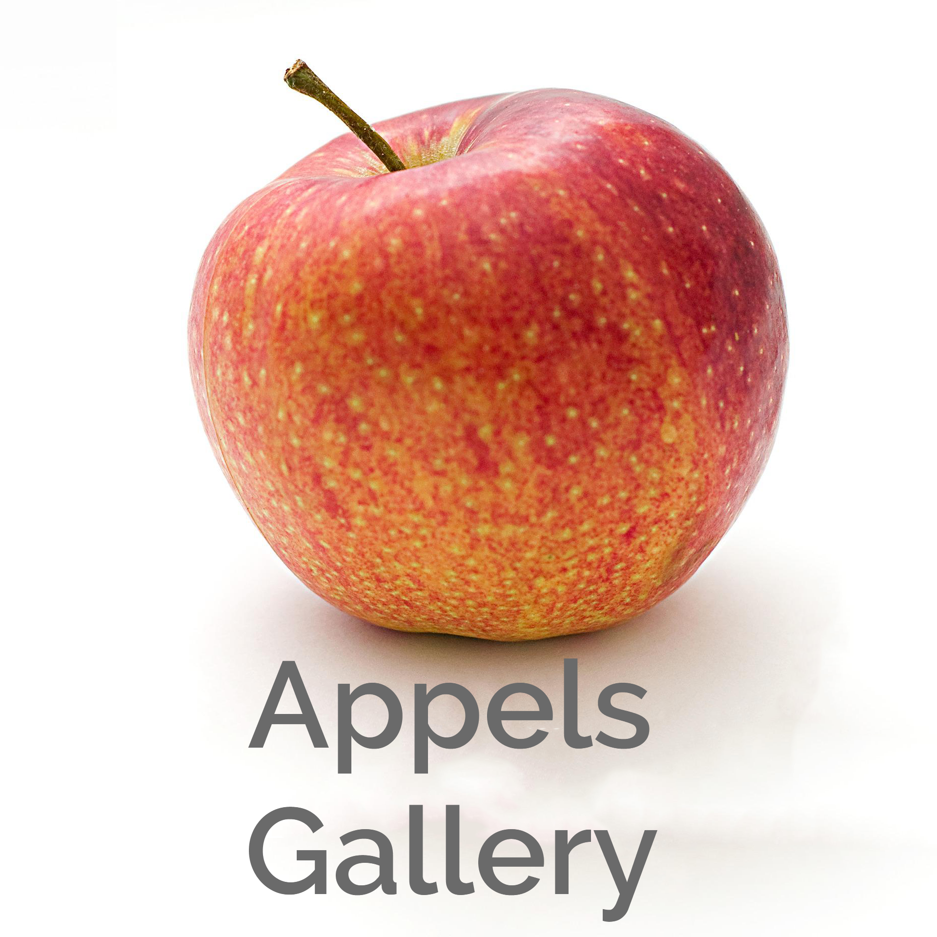 Appels gallery
